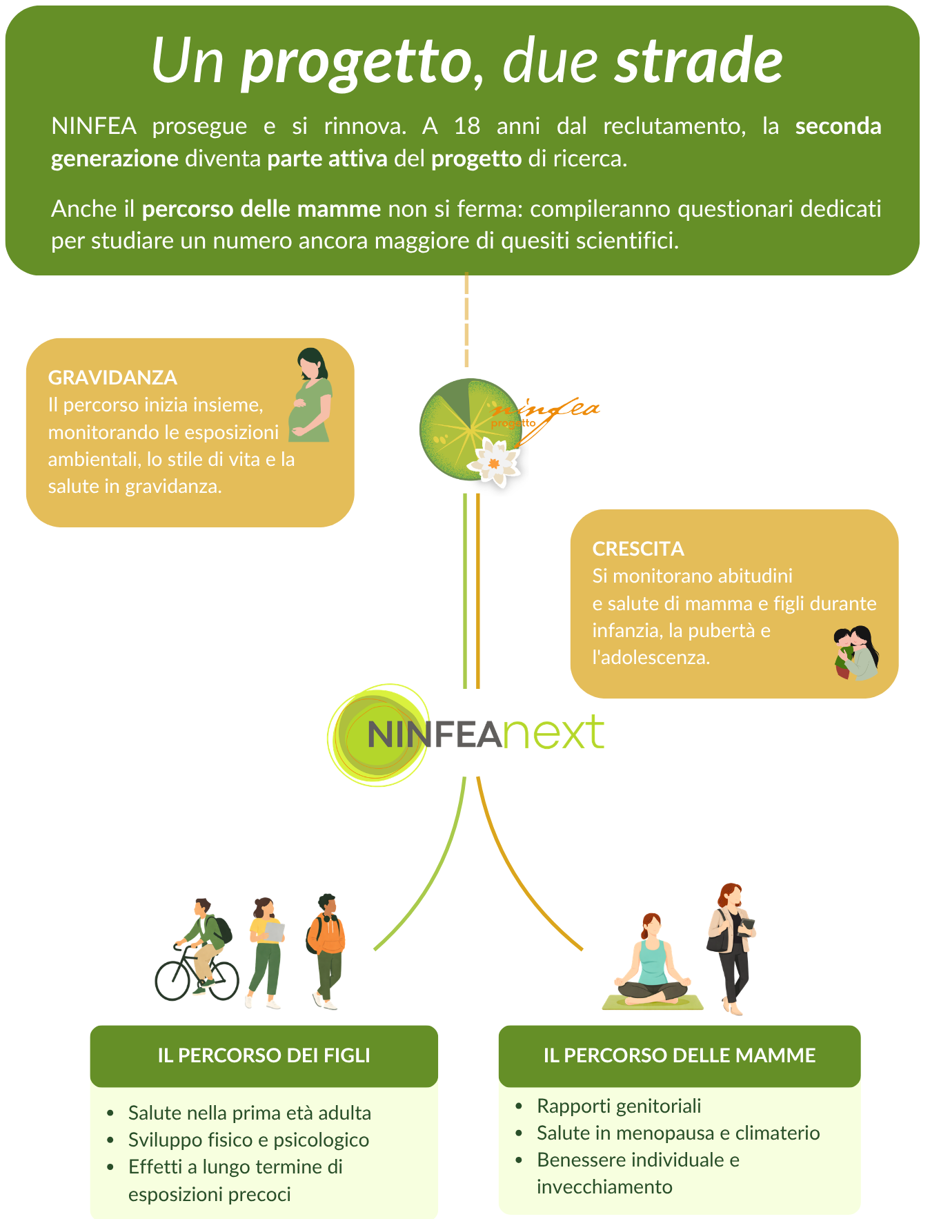 Infografica_m
